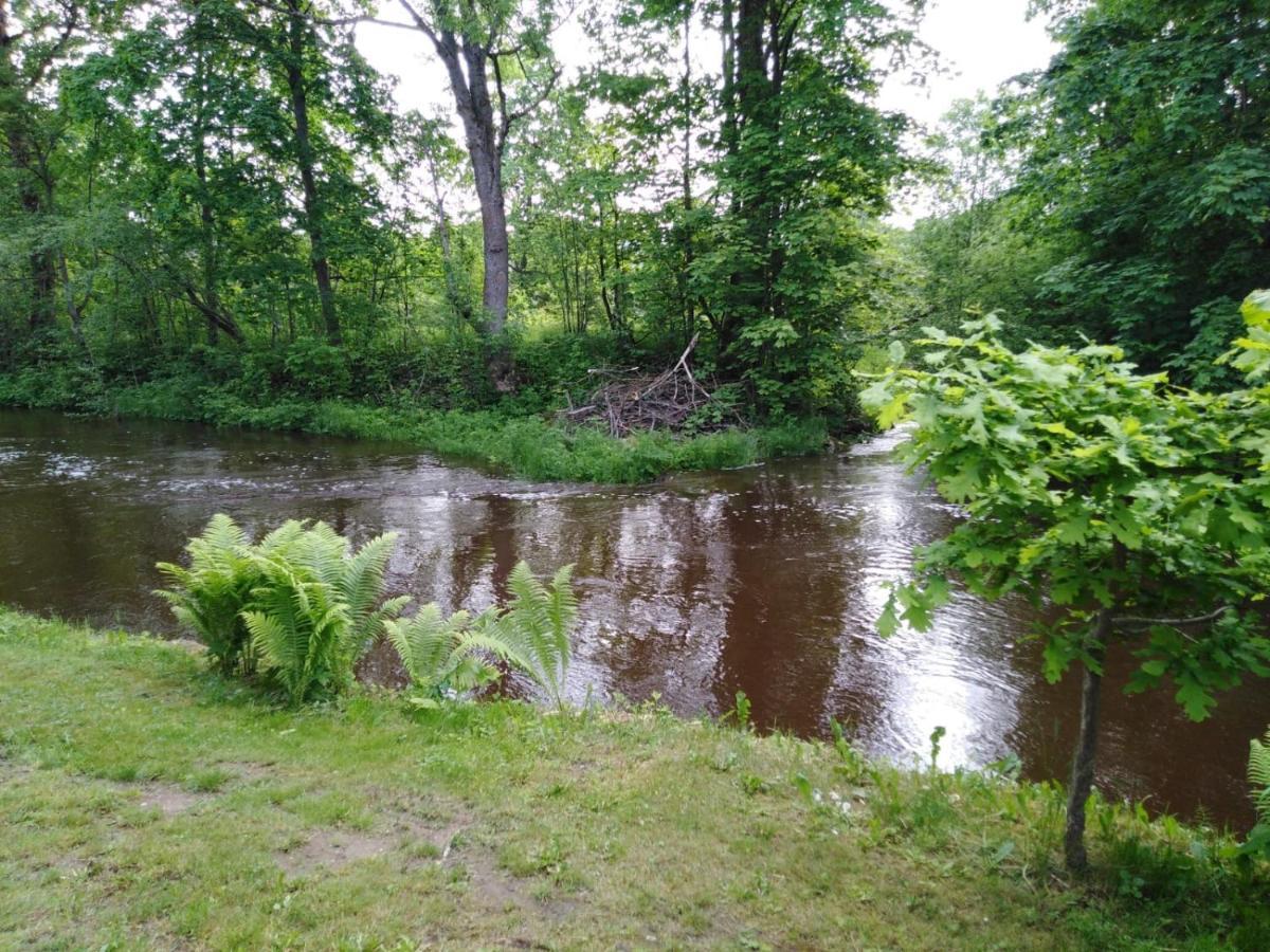 Mustvee Creek Cottage Eksteriør bilde